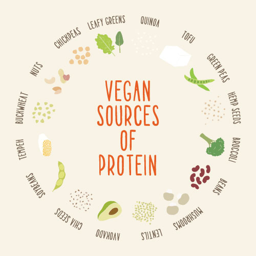 Vegan sources of protein