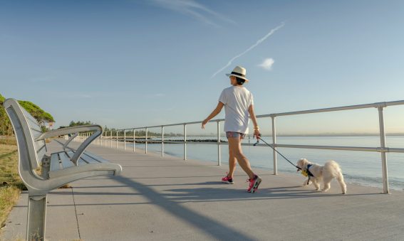 Woman walking on a sidewalk with dog, embracing the calm morning atmosphere.
